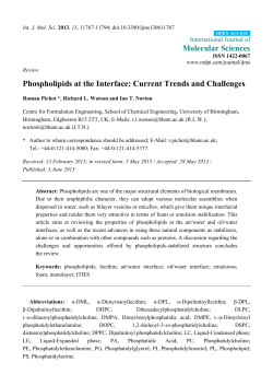 Phospholipids at the Interface: Current Trends and Challenges