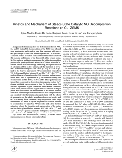 Kinetics and Mechanism of Steady