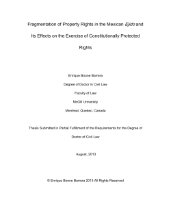 Fragmentation of Property Rights in the Mexican