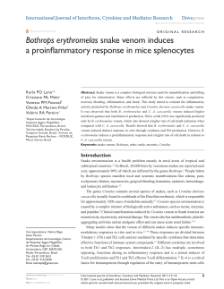 Bothrops erythromelas snake venom induces a