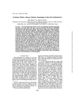 as a PDF