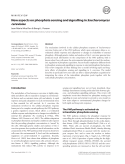 New aspects on phosphate sensing and signalling in