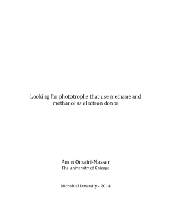 Omairi‐Nasser, A. Looking for phototrophs that use methane and
