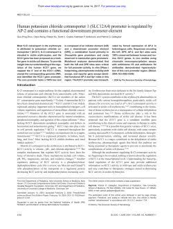 Human potassium chloride cotransporter 1