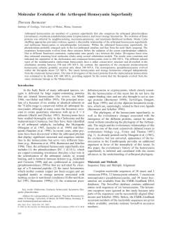 Molecular Evolution of the Arthropod Hemocyanin Superfamily