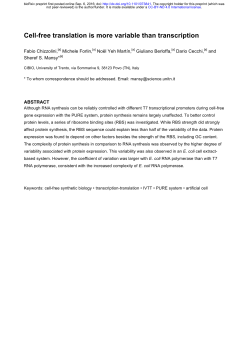 Cell-free translation is more variable than transcription