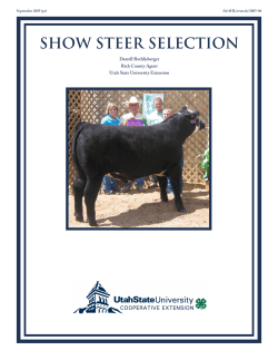 Show Steer Selection - Utah State University Extension