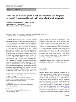 How can an invasive grass affect fire behavior in a tropical savanna