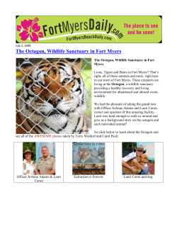 The Octagon, Wildlife Sanctuary in Fort Myers