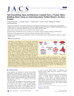 Building Block Using an Intermolecularly Folded Dimeric de Novo