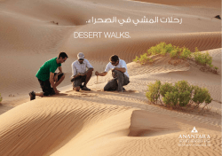 DESERT WALKS. - Qasr Al Sarab Desert Resort by Anantara