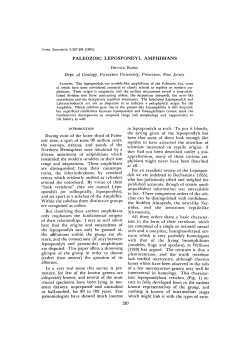 PALEOZOIC LEPOSPONDYL AMPHIBIANS