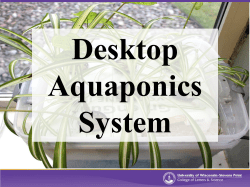 Build a Mini Aquaponics System!