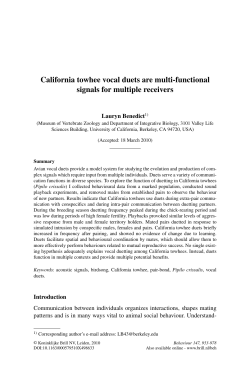 California towhee vocal duets are multi