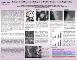 Biodegradable Honeycomb Collagen Scaffold for Dermal Tissue