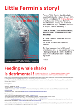 Little Fermin`s story! - Dolphin