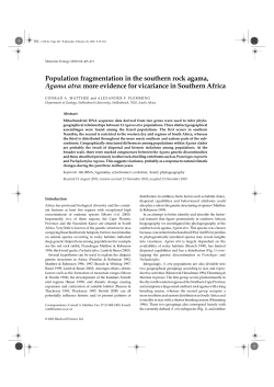Population fragmentation in the southern rock agama, Agama atra