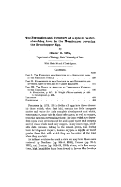 The Formation and Structure of a special Water