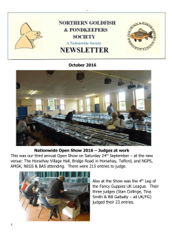 October 2016 Nationwide Open Show 2016 &ndash; Judges at work This