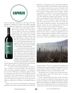 Brand Sheet - Vineyard Brands
