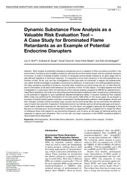 Dynamic Substance Flow Analysis as a Valuable Risk