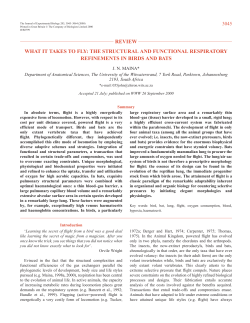 respiratory system - Coastal Carolina University