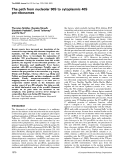 The path from nucleolar 90S to cytoplasmic 40S pre
