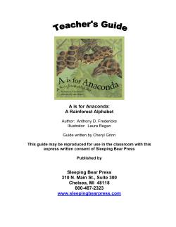 A is for Anaconda: A Rainforest Alphabet