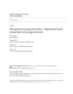 department head interactions in local government