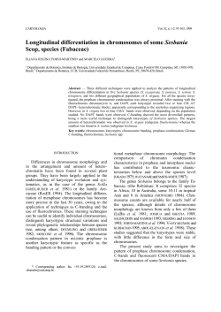 Longitudinal differentiation in chromosomes of some Sesbania Scop