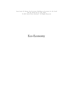 The Economy and the Earth