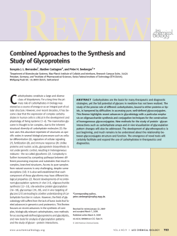 Combined Approaches to the Synthesis and Study of Glycoproteins