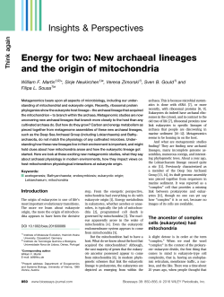 Energy for two: New archaeal lineages and the origin of mitochondria