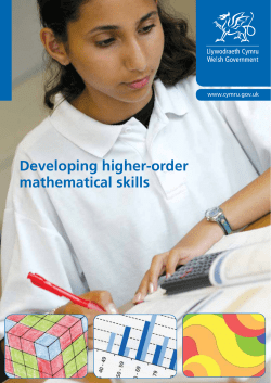 Developing higher-order mathematical skills