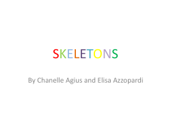 Skeletons [science] group 1&Prime; Presentation