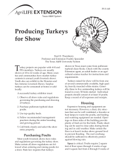 Producing Turkeys for Show - AgriLife Extension County Offices
