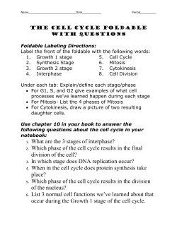 1. What are the 3 stages of interphase? 2. Which phase of the cell