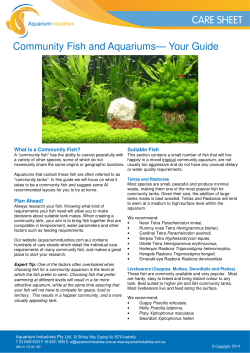 Community Fish A Guide