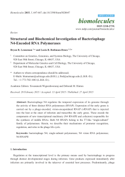 Structural and Biochemical Investigation of Bacteriophage N4