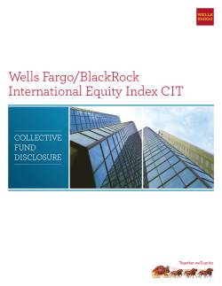 Wells Fargo/BlackRock International Equity Index CIT Disclosure