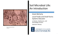 Soil Microbial Life: An introduction