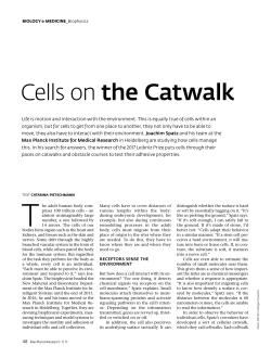 Cells on the Catwalk - Max-Planck