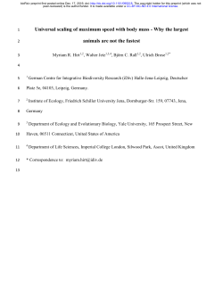 Universal scaling of maximum speed with body mass