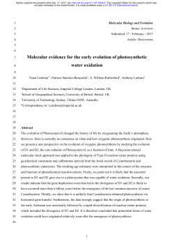Molecular evidence for the early evolution of photosynthetic water