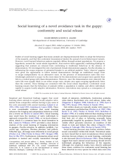 Social learning of a novel avoidance task in the guppy: conformity