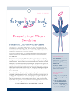 Dragonfly Angel Wings - Newsletter