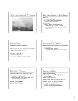Exercise and Air Pollution