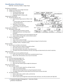 Classification of Herbivores