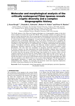 Molecular and morphological analysis of the critically endangered
