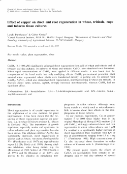 Effect of copper on shoot and root regeneration in wheat